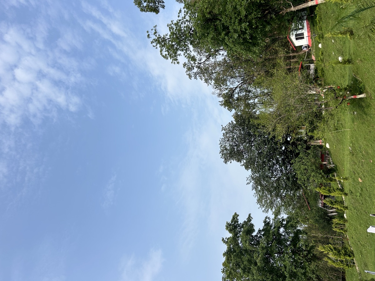 Serene Himalayan views from the yoga ashram Dehradun